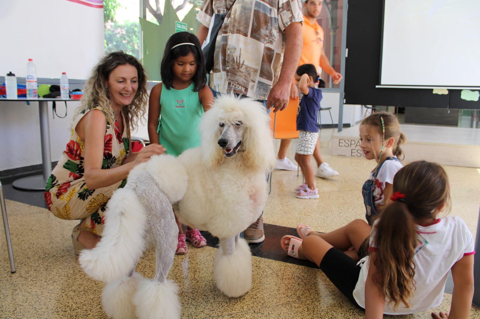 Terapia con perros en los talleres de conciliación de los menores que presentan necesidades especiales de Lorca