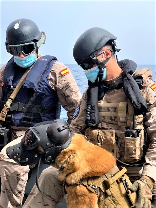 La Fuerza de Protección de la Armada realiza un ejercicio de unidades caninas
