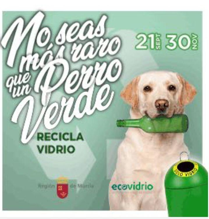 Puerto Lumbreras logra el tercer puesto en el reto de la campaña “No seas más raro que un Perro Verde, Recicla Vidrio” de ECOVIDRIO