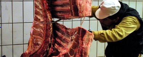  Sanidad confirma la entrada de 367 kilos de carne de vaca enferma procedente de Polonia

 
