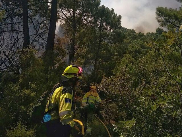 Incendio forestal en Yeste.